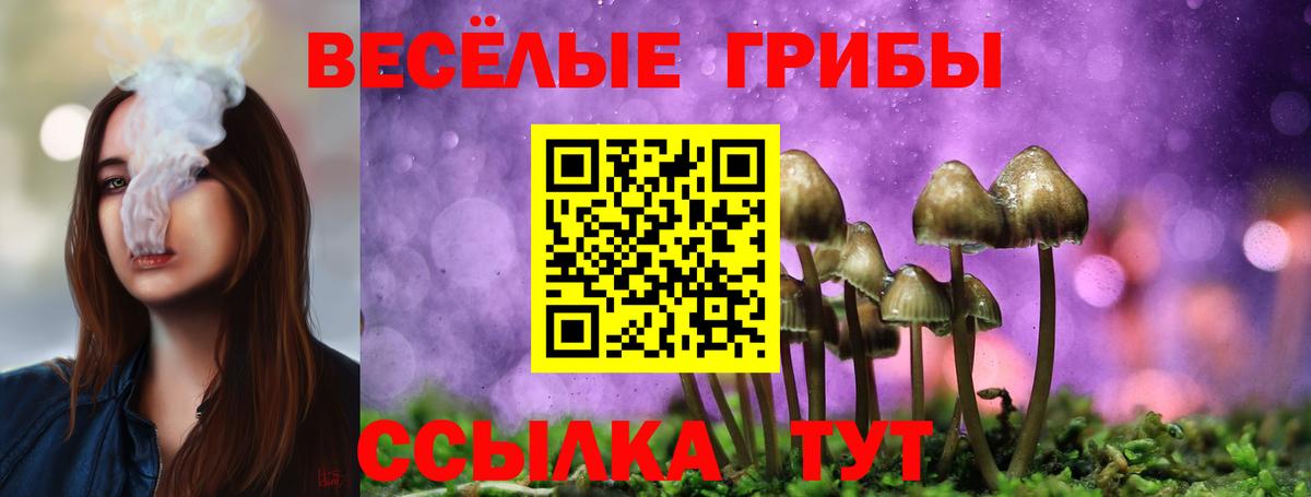 Псилоцибиновые грибы мухоморы Мытищи