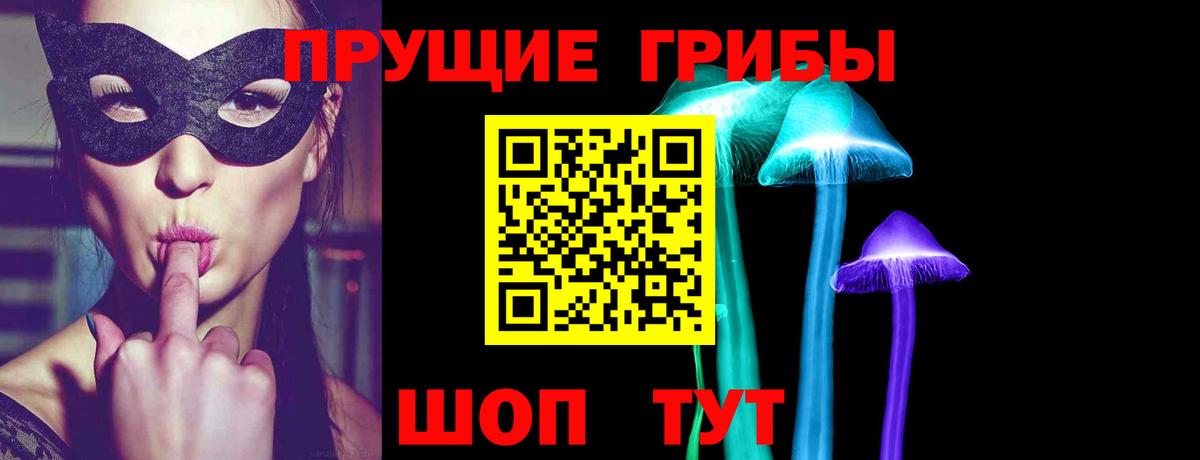 Мытищи  Галлюциногенные грибы Cubensis  Вход с VPN 